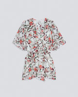 CARLINA image number null