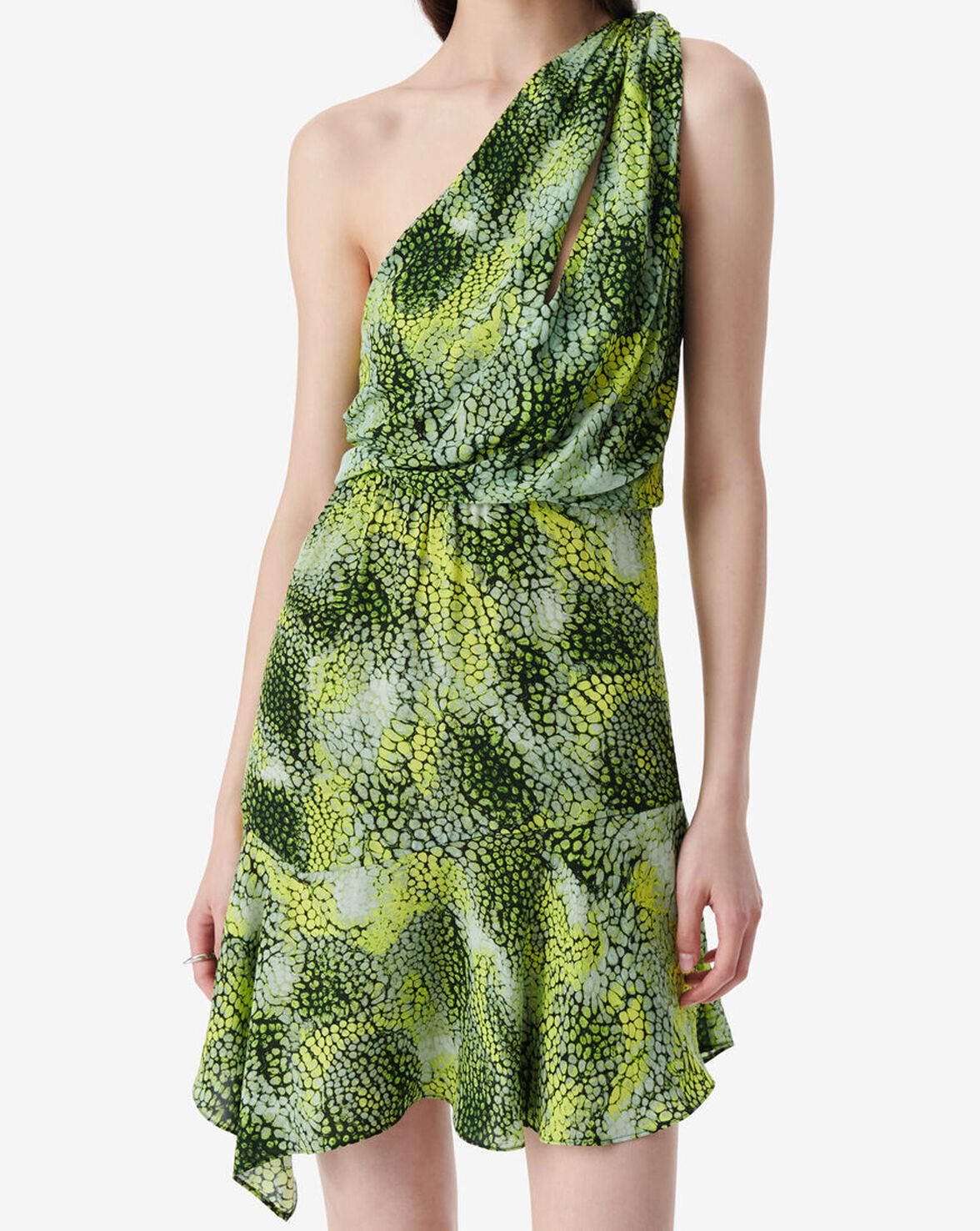 INASSA image number null