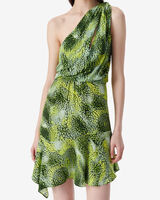 INASSA image number null