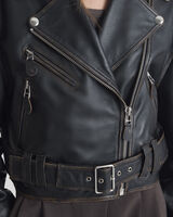BACKBEAT image number null