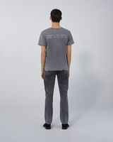 PIERRO image number null