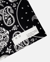 IRVY image number null