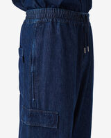 FEVIE image number null