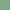 ALMOND GREEN