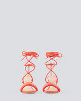 PADDY image number null