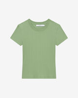 ELONIA image number null