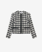 PELIPA image number null