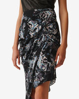 CARTINA image number null