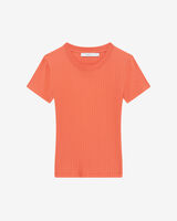 ELONIA image number null