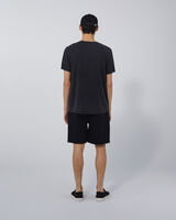 LIONO image number null