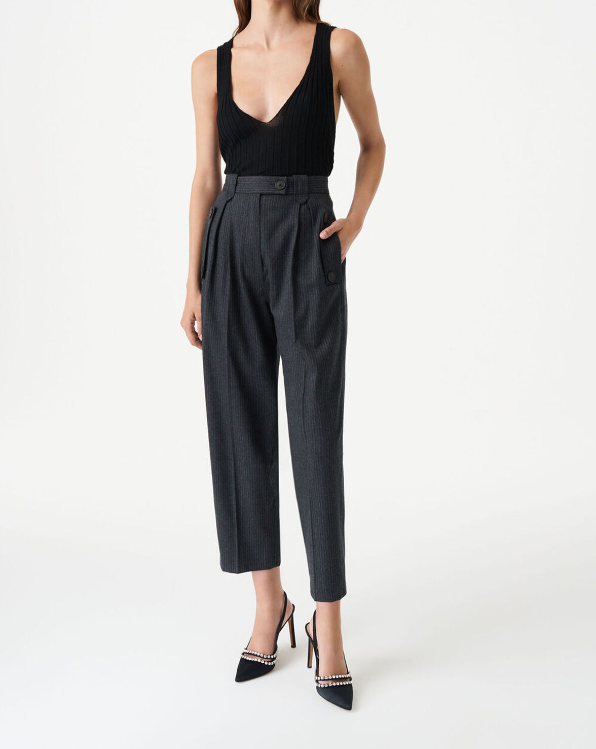 FELIS image number null